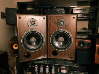 Altavoces Infinity SM 80 Marrones