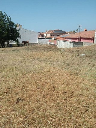 Terreno en venta en El Rinconcillo en Algeciras
