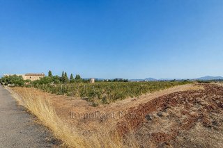 Terreno en venta en Ctra Muro - Can Picafort en Muro