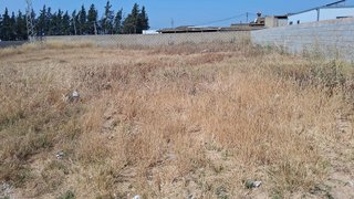 Terreno en venta en Pinar de los Franceses - Marquesado en Chiclana de la Frontera