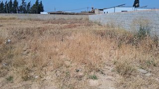 Terreno en venta en Pinar de los Franceses - Marquesado en Chiclana de la Frontera