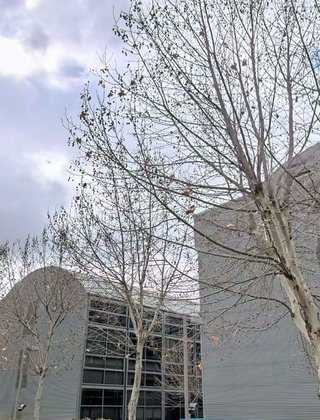 Oficina en venta en Reyes Católicos en Alcalá de Henares