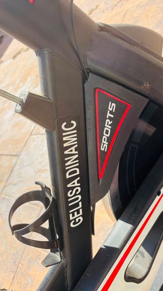 Bici Spinning Gelusa Seminueva + Cojín