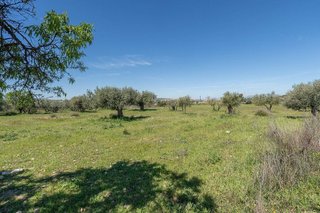 Terreno en venta en Otura