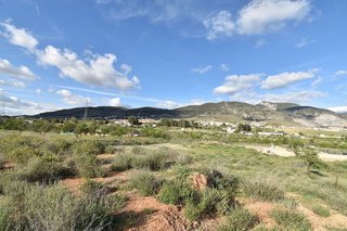 Terreno en venta en Padul