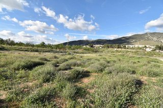 Terreno en venta en Padul