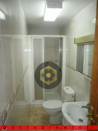 Piso en alquiler en Camino de Ronda - Rosaleda en Granada