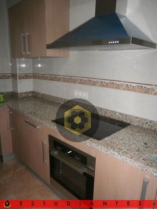 Piso en alquiler en Camino de Ronda - Rosaleda en Granada