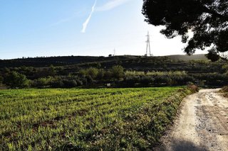 Terreno en venta en Padul