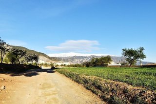 Terreno en venta en Padul
