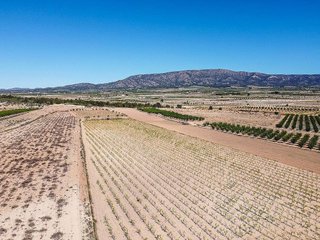 Terreno en venta en Pinós