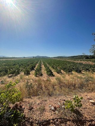Terreno en venta en Pinós