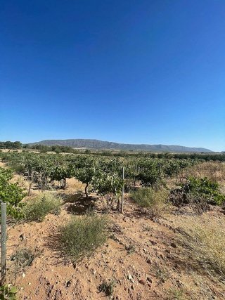 Terreno en venta en Pinós