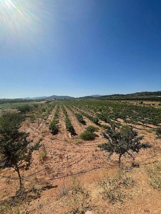 Terreno en venta en Pinós