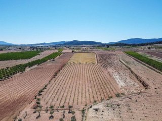 Terreno en venta en Pinós