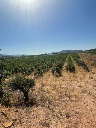 Terreno en venta en Pinós