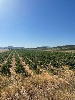 Terreno en venta en Pinós