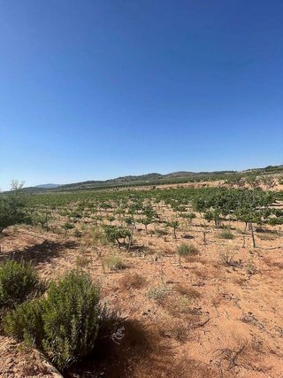 Terreno en venta en Pinós