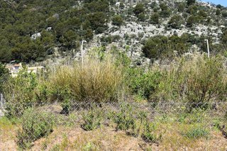Solar en venta en Alaró