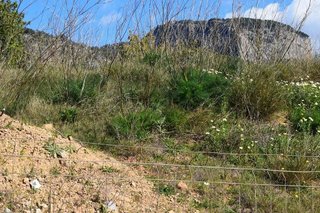Solar en venta en Alaró