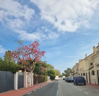 Casa adosada en alquiler en Los Naranjos en Marbella