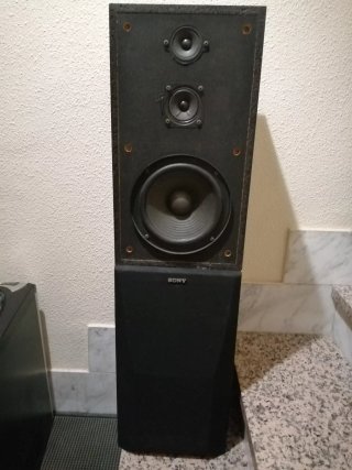 Altavoces Sony 100W Negros
