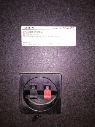 Altavoces Sony 100W Negros
