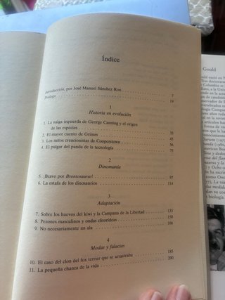 "Brontosaurus" y la nalga del ministro