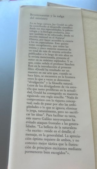 "Brontosaurus" y la nalga del ministro