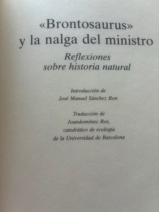 "Brontosaurus" y la nalga del ministro