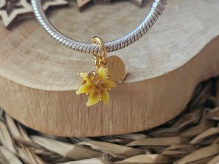 Charm Flor Mágica Rapunzel