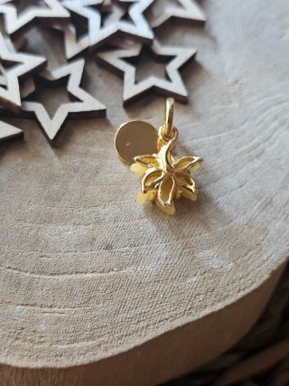 Charm Flor Mágica Rapunzel