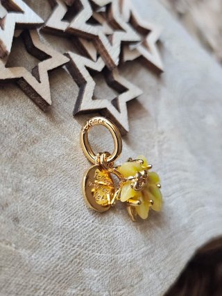 Charm Flor Mágica Rapunzel