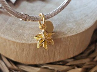 Charm Flor Mágica Rapunzel