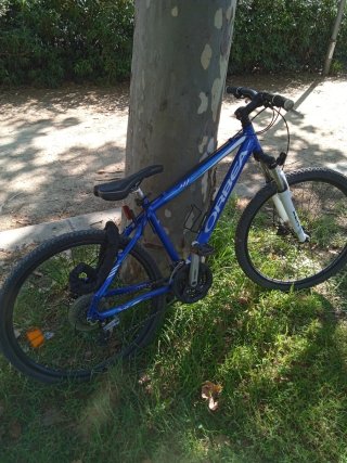 Bicicleta Orbea Azul