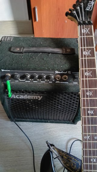 Guitarra Eléctrica con Diseño Calaveras