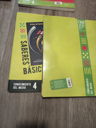 Matemáticas 4, Segundo Ciclo Primaria, Fanfest