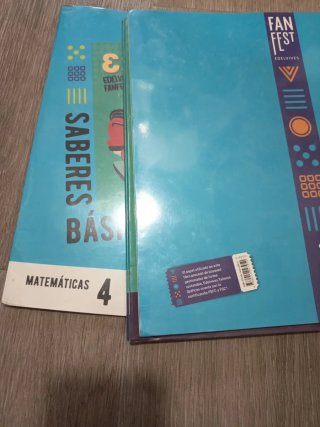 Matemáticas 4, Segundo Ciclo Primaria, Fanfest