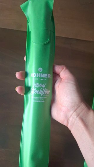2 Flautas Hohner Melody Blockflöte