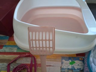 Lote accesorios para gatos