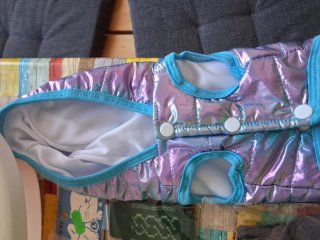 Lote accesorios para gatos