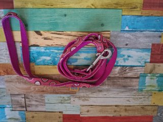 Lote accesorios para gatos