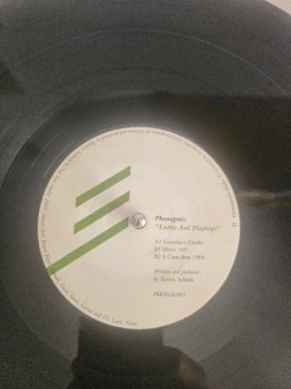 Phonogenic - Ladies And Playboys Techno Electro