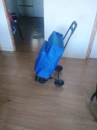 Carrito compra azul con bolsillo congelados