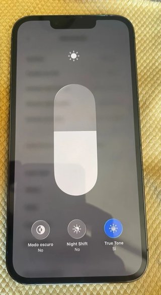 iPhone 13 Pro 256 GB Gris