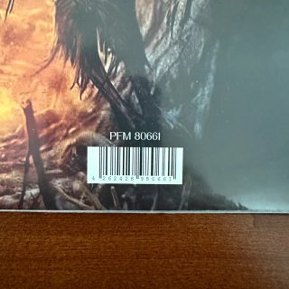 Slayer - Born of Fire - Live 1999 LP