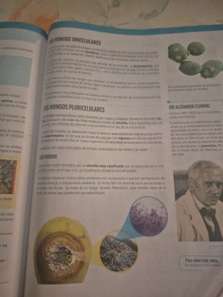 Biología y Geología I, ESO, Secundaria, De otra...