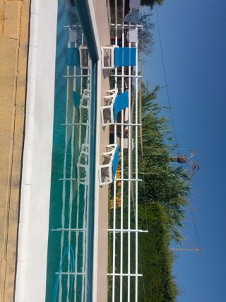 Tumbona Piscina Azul y Blanca