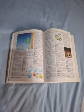 El Pequeño Larousse Diccionario Ilustrado