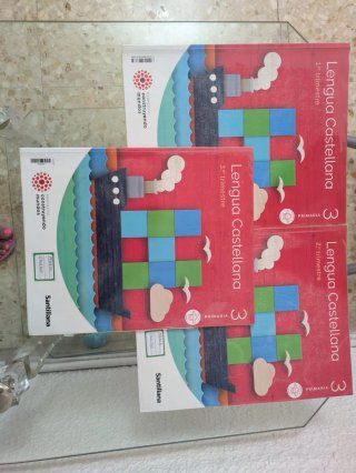 Libros de primaria y uno de ingles